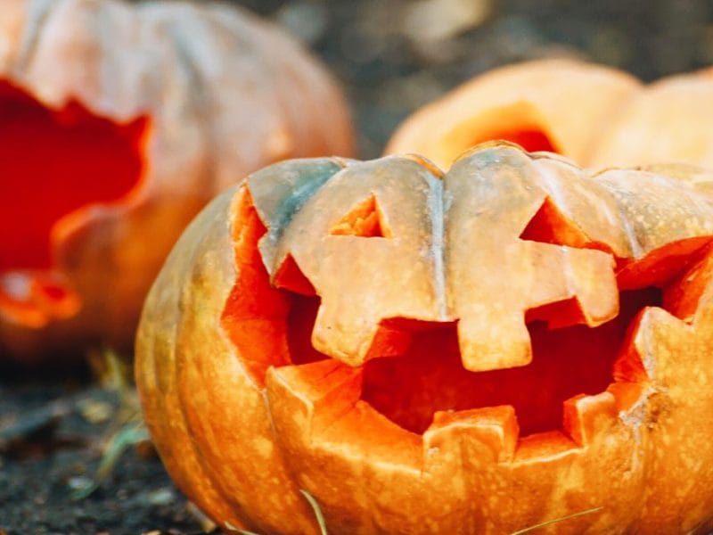 The Best Halloween Events in Windsor Essex County