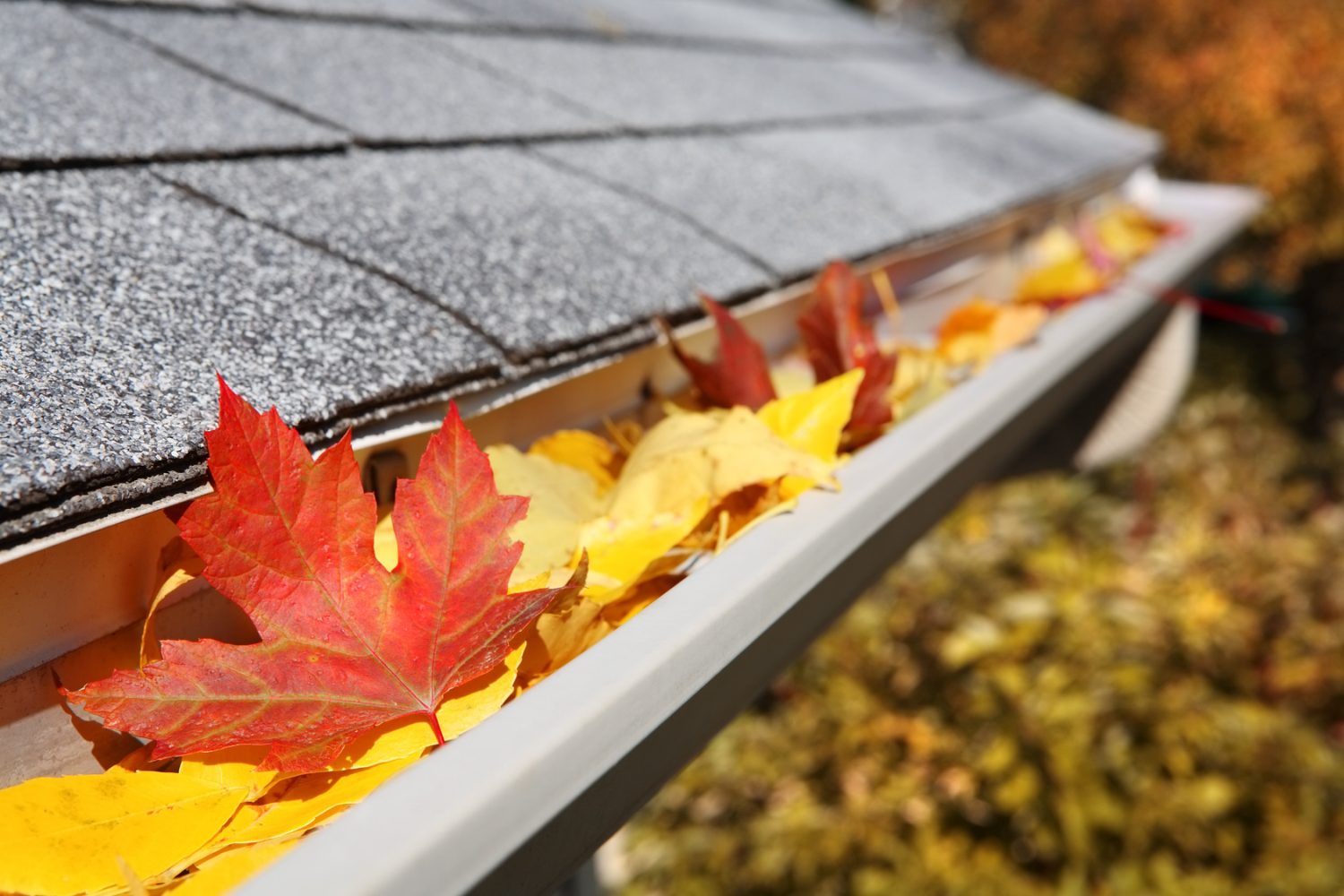 Windsor Fall Maintenance Checklist