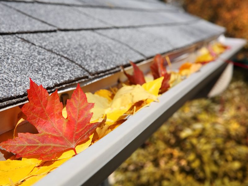 Windsor Fall Maintenance Checklist